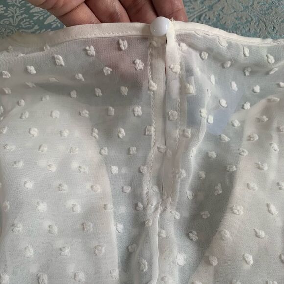 Beautiful Sheer Blouse  - Picture 5 of 7